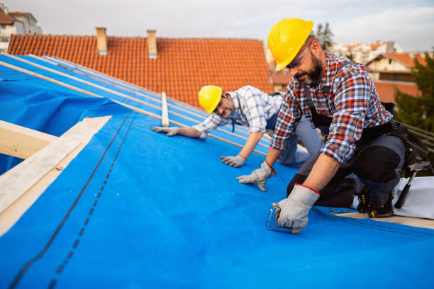 Best Storm Damage Roof Repair  in Frenchtown, MT